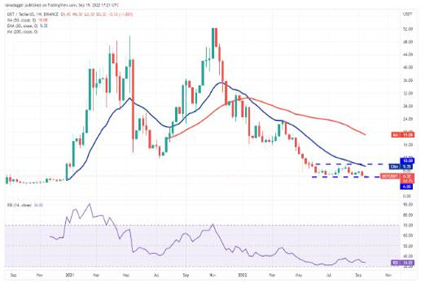波卡币价格今日行情 DOT币最新消息-第3张图片-欧意下载