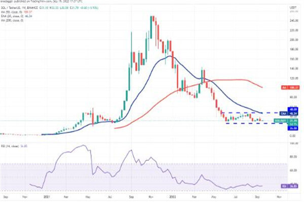 sol币今日最新价格 索拉纳币最新行情消息-第3张图片-欧意下载