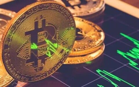 王珂又欠下巨额12亿比特币(王珂比特币平台)-第1张图片-欧意下载