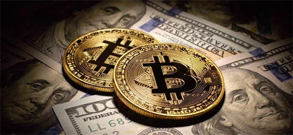 国内热门的炒币平台有哪些-第1张图片-欧意下载