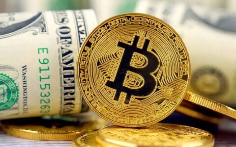 比特币杠杆什么意思(比特币杠杆什么意思啊)-第1张图片-欧意下载