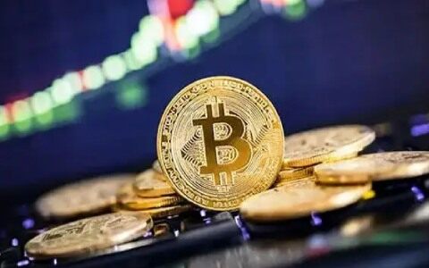 比特币是什么东西(比特币是什么东西怎么挖)-第1张图片-欧意下载