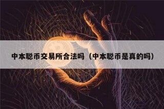 中本聪币交易所合法吗（中本聪币是真的吗）