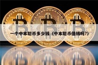 一个中本聪币多少钱（中本聪币值钱吗?）