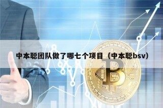 中本聪团队做了哪七个项目（中本聪bsv）