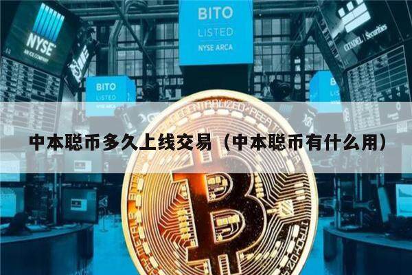 中本聪币多久上线交易（中本聪币有什么用）-第1张图片-欧意下载