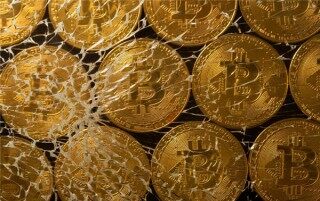 tc价格今日行情走势(tc最新价格行情)