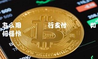 怎么用虚拟币进行支付