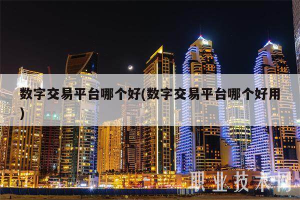 数字交易平台哪个好(数字交易平台哪个好用)-第1张图片-欧意下载