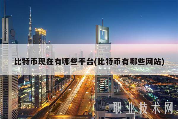比特币现在有哪些平台(比特币有哪些网站)-第1张图片-欧意下载