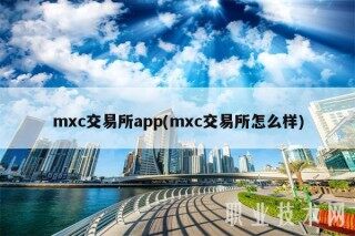mxc交易所app(mxc交易所怎么样)