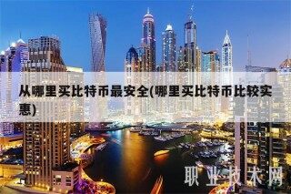 从哪里买比特币最安全(哪里买比特币比较实惠)