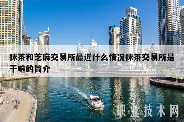 抹茶和芝麻交易所最近什么情况抹茶交易所是干嘛的简介-第1张图片-欧意下载