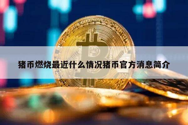 猪币燃烧最近什么情况猪币官方消息简介-第1张图片-欧意下载