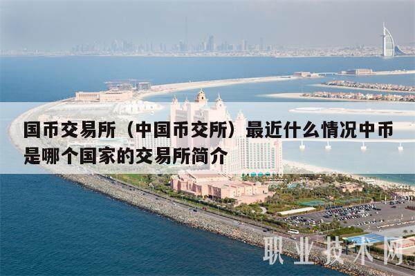 国币交易所（中国币交所）最近什么情况中币是哪个国家的交易所简介-第1张图片-欧意下载