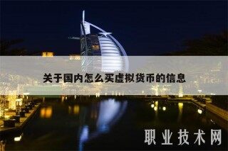 关于国内怎么买虚拟货币的信息