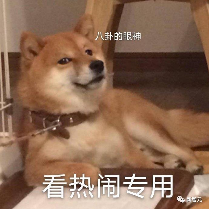 OpenAI正式开放ChatGPT API，100万个单词才18元，全民AIGC时代真的要来了