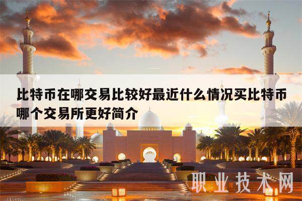 比特币在哪交易比较好最近什么情况买比特币哪个交易所更好简介-第1张图片-欧意下载