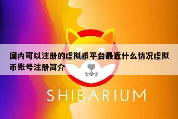 国内可以注册的虚拟币平台最近什么情况虚拟币账号注册简介-第1张图片-欧意下载