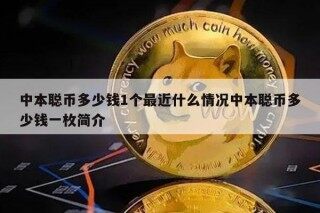 中本聪币多少钱1个最近什么情况中本聪币多少钱一枚简介