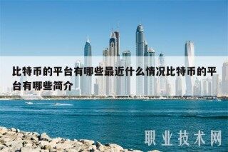 比特币的平台有哪些最近什么情况比特币的平台有哪些简介