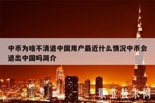 中币为啥不清退中国用户最近什么情况中币会退出中国吗简介