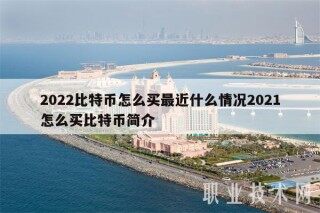 2022比特币怎么买最近什么情况2021怎么买比特币简介