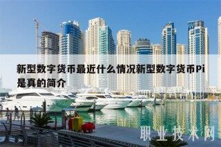 新型数字货币最近什么情况新型数字货币Pi是真的简介