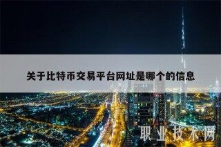 关于比特币交易平台网址是哪个的信息