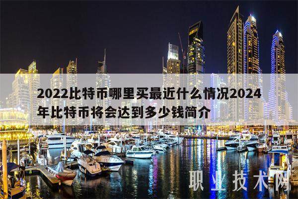 2022比特币哪里买最近什么情况2024年比特币将会达到多少钱简介-第1张图片-欧意下载