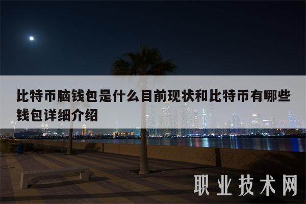 比特币脑钱包是什么目前现状和比特币有哪些钱包详细介绍-第1张图片-欧意下载