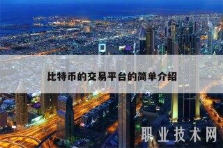 比特币的交易平台的简单介绍